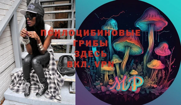 apvp Касимов