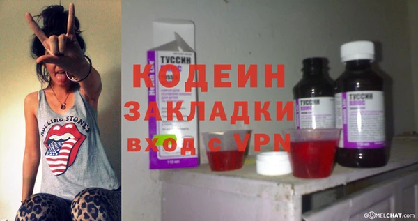 молекула духа Карпинск