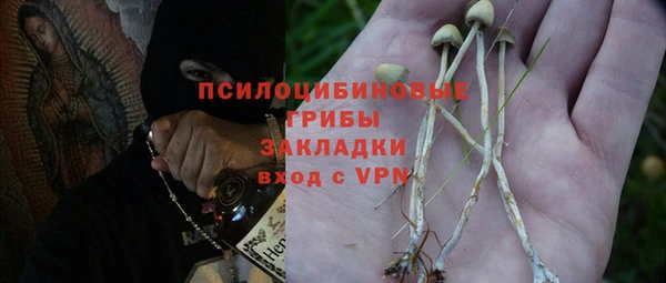 молекула духа Карпинск