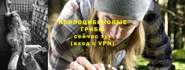 apvp Касимов